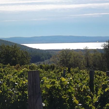 Juhfark Fogadó és Borház Balatoncsicso Esterno foto